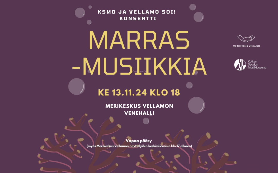 Vellamo soi! Musiikkiopiston konsertti.Marrasmusiikkia 13.11.2024 klo 18